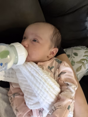 Elijah  Zekirovski - Gallery Image 2