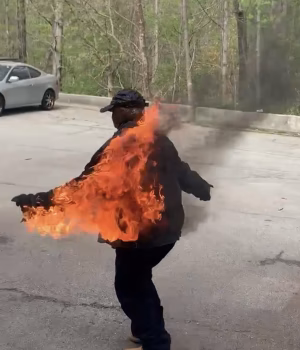 Sarah Fields - Gallery Image 6