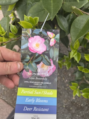 Stephen Lyons - Project Casting Gallery Image 18 Stephen Lyons - Gallery Image 18