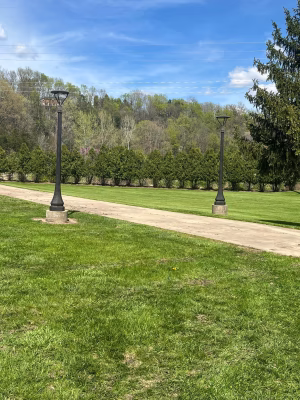 Stephen Lyons - Project Casting Gallery Image 2 Stephen Lyons - Gallery Image 2