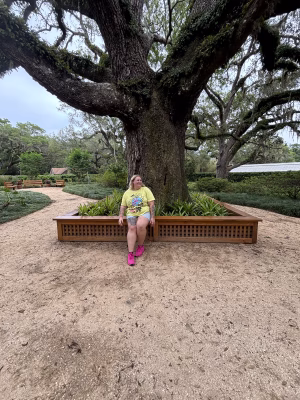 Alison Morey - Gallery Image 3