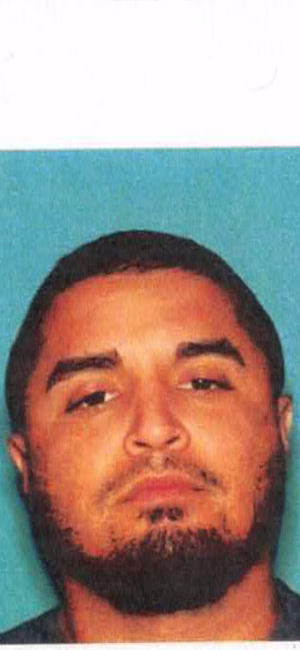 JAKE RAYA - Gallery Image 5