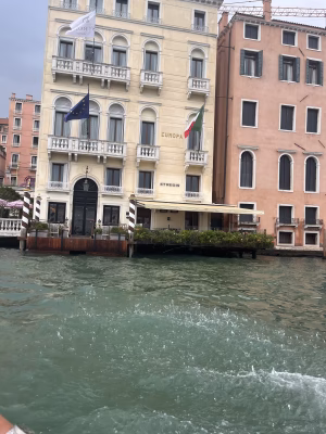 Susie  Sawyer - Gallery Image 3