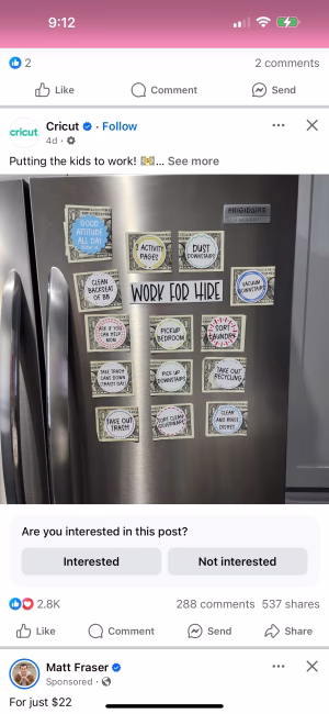 Jane  Drzewiecki - Gallery Image 6