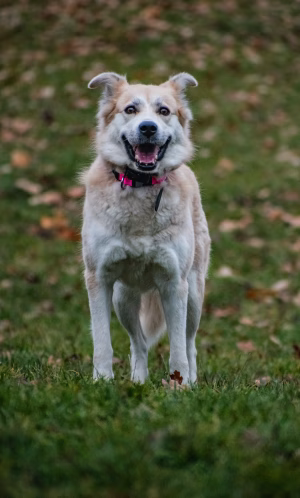 Adéla Hejduková - Gallery Image 7