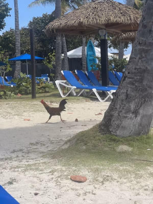 Cecilia Umana - Gallery Image 18