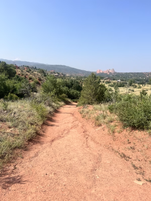 Mary Rojo - Gallery Image 3