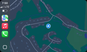 Lauren Wood - Project Casting Gallery Image 3 Lauren Wood - Gallery Image 3