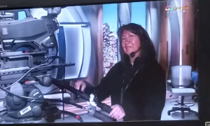 Linda Peltier - Gallery Image 4