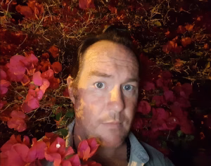 Patrick Hall - Gallery Image 1