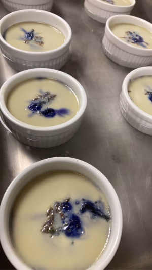 Kristin Seltzer - Project Casting Gallery Image 4 Kristin Seltzer - Gallery Image 4