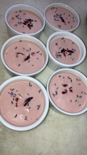 Kristin Seltzer - Project Casting Gallery Image 6 Kristin Seltzer - Gallery Image 6