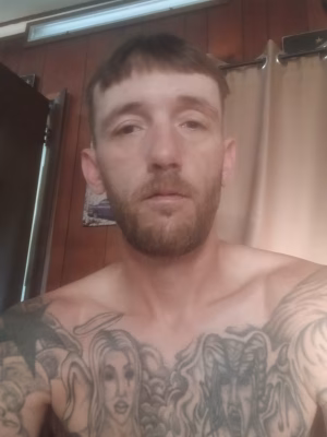 David Sexton - Gallery Image 2