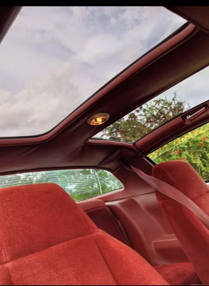 Esko Bolden - Gallery Image 4