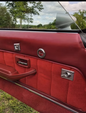 Esko Bolden - Gallery Image 3