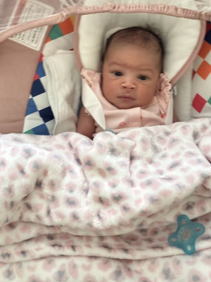 Ashley Conners - Gallery Image 2