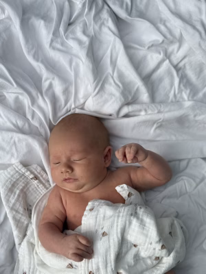 Thomas Bragg - Gallery Image 2