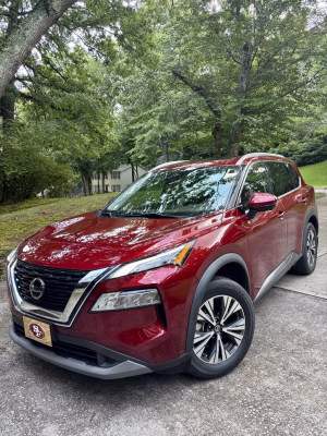 Heather Williams - Gallery Image 11