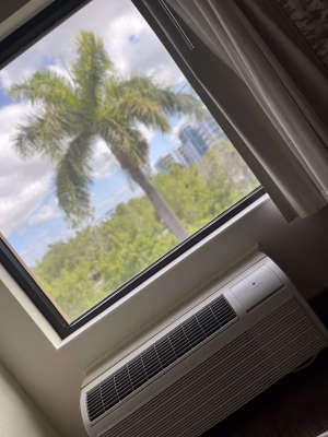 Khianna Bronson - Gallery Image 4