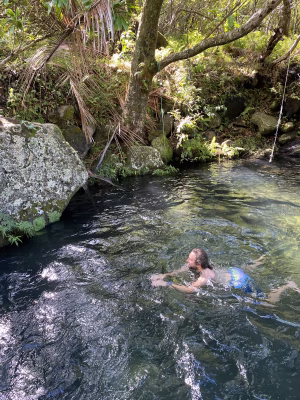 Michael Herrmann - Gallery Image 6