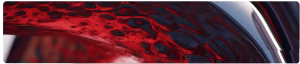 Asset-66@ee4x-1-1024x222-1